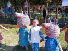 -武汉紫薇都市田园