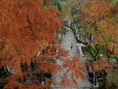 -南京维景国际大酒店咖啡厅