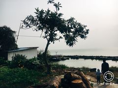 -巢湖姥山岛