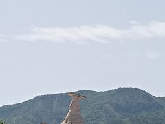 -秦始皇帝陵博物院(兵马俑)