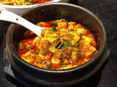-陈麻婆豆腐总店
