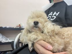 -Hair Co.一间沙龙