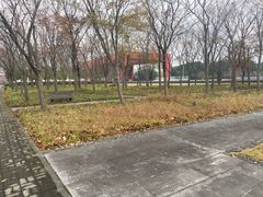 -中国浦东干部学院