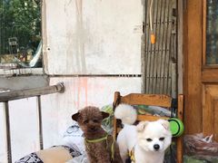 -红升老菜馆(巨兴街店)