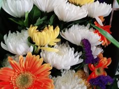 -三旗百汇商品城