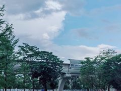 -阳台山森林公园