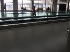 -东方既白(上海浦东国际机场)