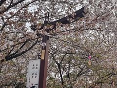 -堤角公园