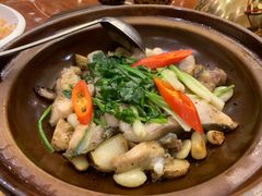 -美极鲜食坊(宝安南路店)