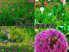 -北京国际鲜花港