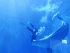 -多彩贵州城极地海洋世界