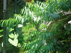 -鱼桥巷·美学川菜