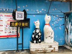 -猫咪博物馆(顶澳仔猫街店)
