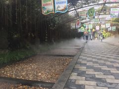 -森波拉火山温泉