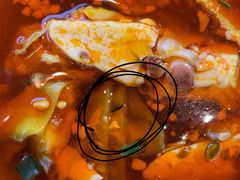 -蜀腾川·火锅鱼.烤鱼(新世界城店)