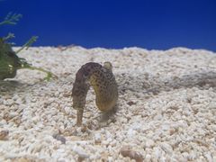 -厦门海底世界