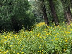 -玉渡山自然风景区