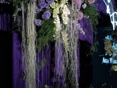 -艾拉私人定制婚礼