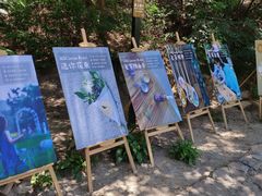 -云峰山自然风景区