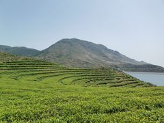 -嵛山岛