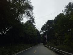 -铁山坪森林公园