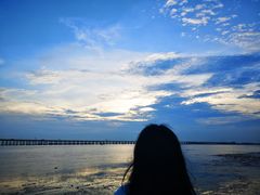 -宝安西湾红树林湿地公园