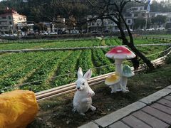 -红山村
