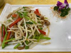 小炒菊花心-姚林轩