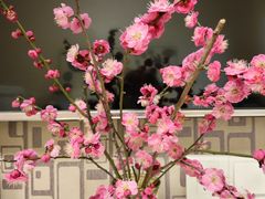 -刘胖子家常菜·蹄花焖藕(江汉路总店)