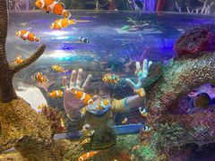 -沈阳海洋探索中心