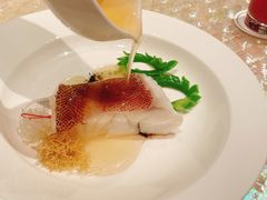 东星斑清蒸-8餐厅(新葡京酒店)