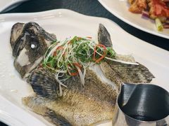 -三利音·东方司宴(外滩店)
