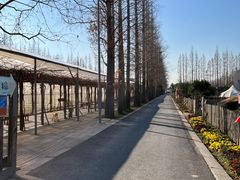 -前小桔亲子创意农场·草莓采摘·露营烧烤
