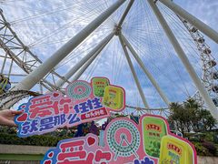 -幻彩摩天轮
