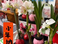 -金汇四季广场