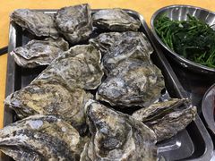 生蚝-蚝专家(北滘店)