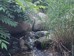 -碓臼峪自然风景区