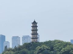 -江心屿景区
