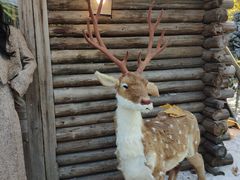 -HERRE·FARM 赫尔露营农场·团建聚会包场