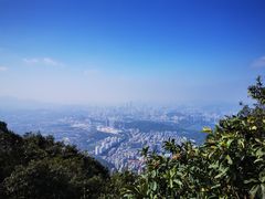 -梧桐山风景名胜区