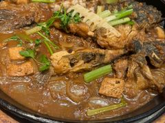 -老板恋上鱼(印象城店)