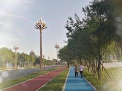 -两河城市森林公园