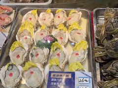 -蓝珊瑚蒸汽海鲜餐厅(龙奥店)