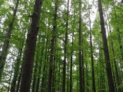 -南京金牛湖风景区