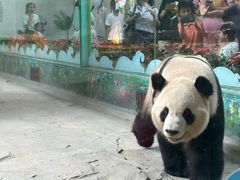 -灵玲国际马戏城