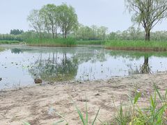 -大兴滨河森林公园