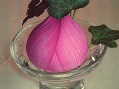 花园酒店-广州花园酒店