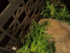-湘当爱·鲜煮现炒(松岗立业路店)