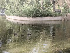 -莲花池公园