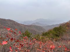 -水峪民俗村